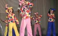Відбувся звітний концерт Зразкового шоу-балету 